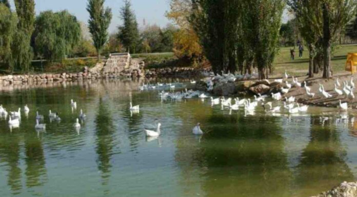 Desde el 5 de junio cursos gratuitos de formación medioambiental