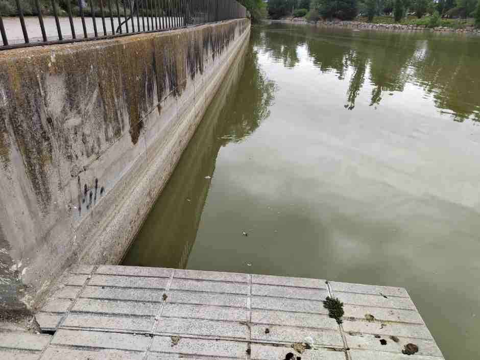 Más Madrid Móstoles pone su atención en la situación del lago de El Soto