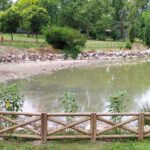 Más Madrid Móstoles pone su atención en la situación del lago de El Soto
