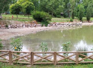 Más Madrid Móstoles pone su atención en la situación del lago de El Soto