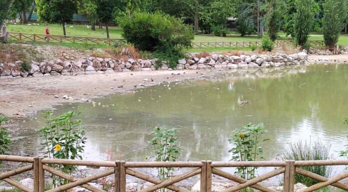 Más Madrid Móstoles pone su atención en la situación del lago de El Soto