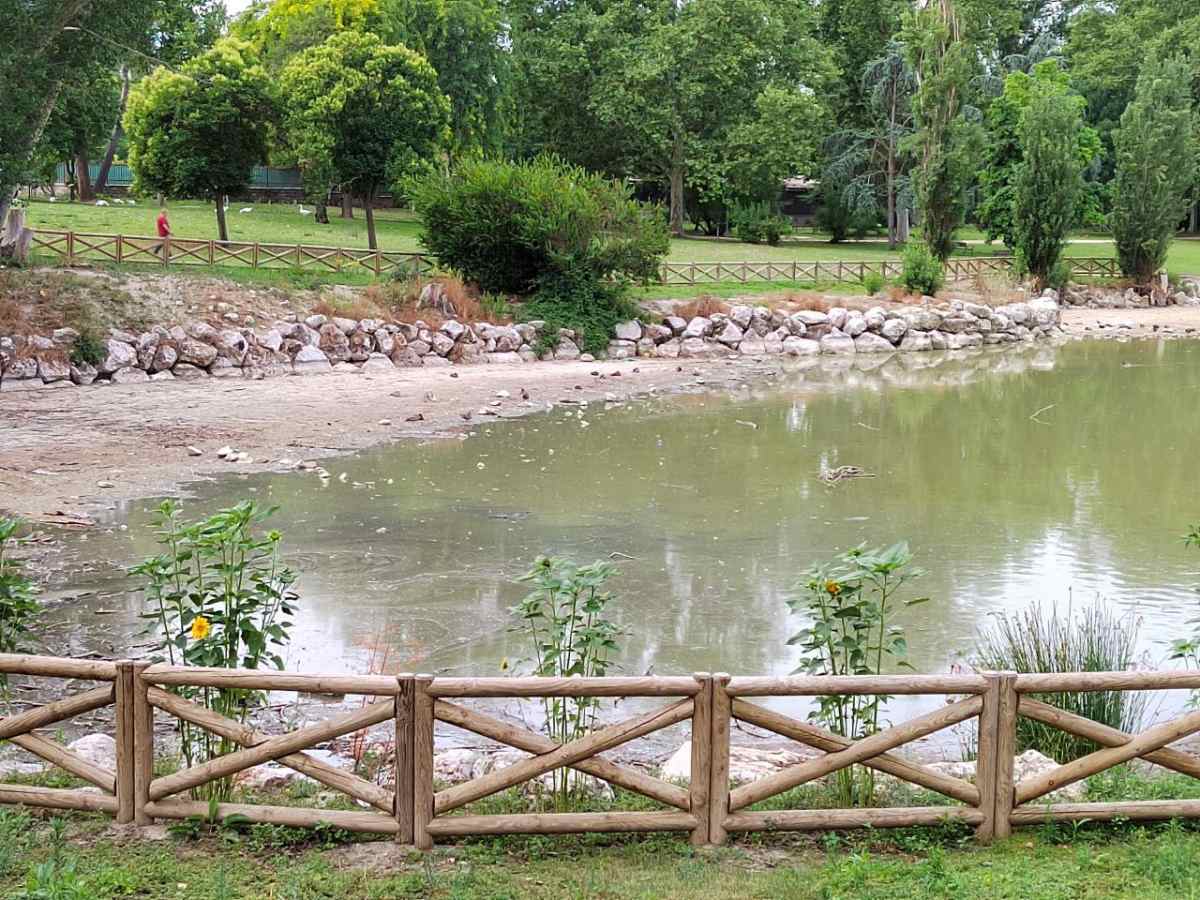 Más Madrid Móstoles pone su atención en la situación del lago de El Soto