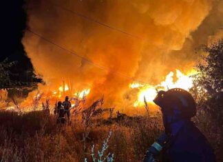 Susto en los márgenes del río Guadarrama a su paso por Móstoles