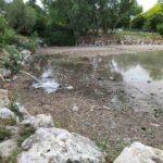 Más Madrid Móstoles pone su atención en la situación del lago de El Soto