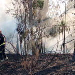 Incendio en Móstoles ha sido extinguido después de repercusiones en el tráfico