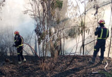 Incendio en Móstoles ha sido extinguido después de repercusiones en el tráfico