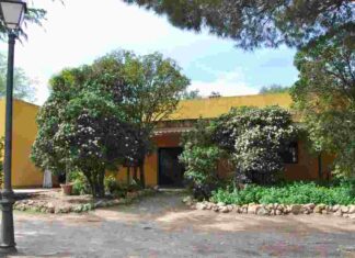 Planes de Ocio en Móstoles para este fin de semana: final de fútbol, acuario, medioambiente...