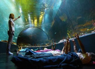 Durmiendo entre tiburones al lado de Móstoles