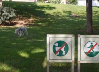 ¿Quién anda ahí? Móstoles: Zona Verde