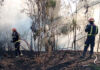 Los bomberos trabajan en la extinción de un incendio de vegetación en Móstoles