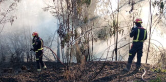 Los bomberos trabajan en la extinción de un incendio de vegetación en Móstoles