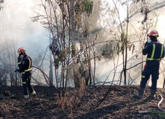 Los bomberos trabajan en la extinción de un incendio de vegetación en Móstoles