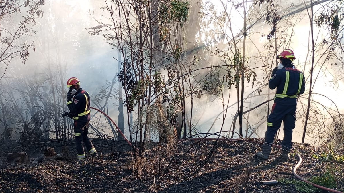 Los bomberos trabajan en la extinción de un incendio de vegetación en Móstoles