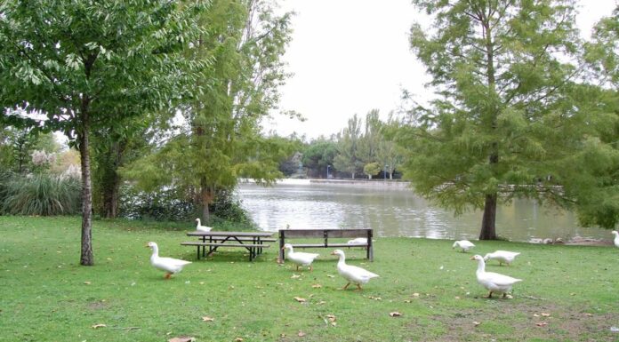 Planes de Ocio en Móstoles para este fin de semana: verbena, película familiar...