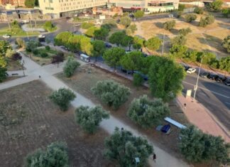 Paralizado el Vallado del Parque de Los Olivos en Móstoles tras la intervención de vecinos y Más Madrid Paralizado el Vallado del Parque de Los Olivos en Móstoles tras la intervención de vecinos y Más Madrid