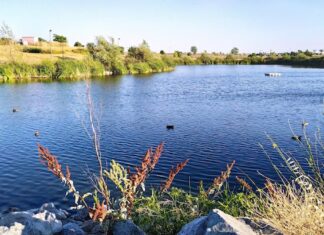 Planes de Ocio en Móstoles para este fin de semana: último finde de Verbena y de música en Xanadú