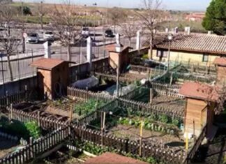 Hasta 22 huertos de ocio para mayores de Móstoles