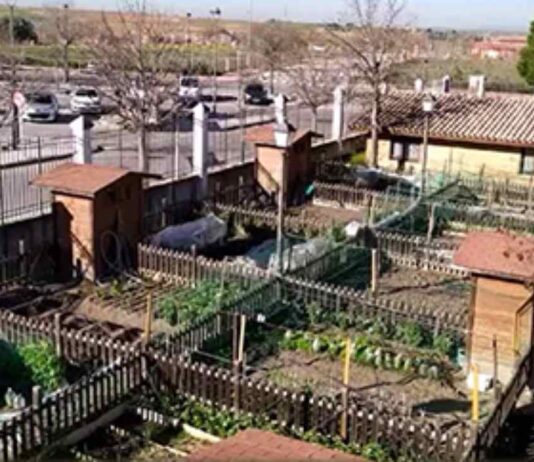 Hasta 22 huertos de ocio para mayores de Móstoles Hasta 22 huertos de ocio para mayores de Móstoles