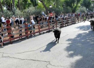 Muere un vecino de Móstoles en el último encierro de Villaviciosa de Odón