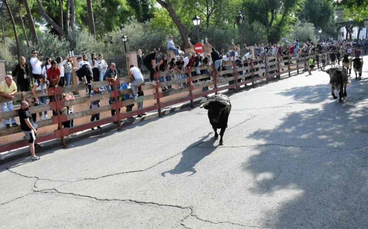 Muere un vecino de Móstoles en el último encierro de Villaviciosa de Odón