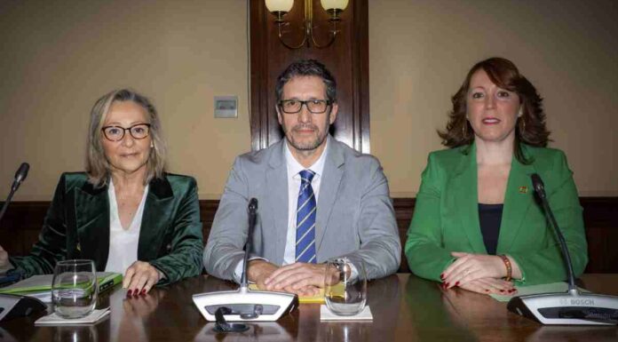 Creación de una escuela municipal de arte en Móstoles