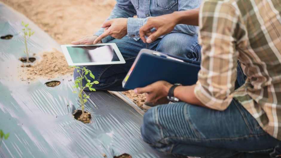 Ayuda a la formación para desempleados mostoleños 