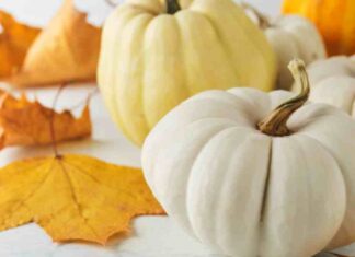 ¿Quién anda ahí? Móstoles: Octubre