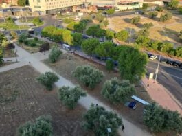 Más Madrid recurre la construcción de 80 viviendas en el Parque de los Olivos de Móstoles