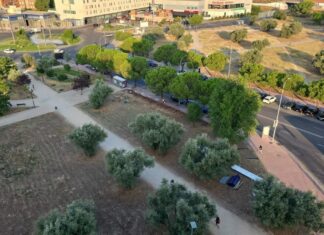 Más Madrid recurre la construcción de 80 viviendas en el Parque de los Olivos de Móstoles Más Madrid recurre la construcción de 80 viviendas en el Parque de los Olivos de Móstoles