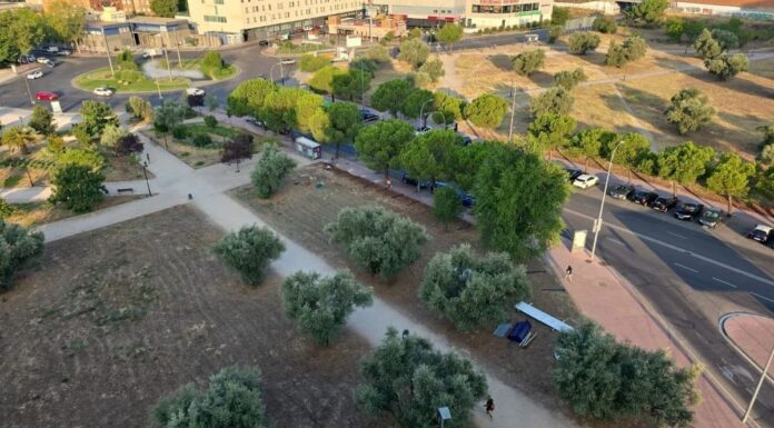 Más Madrid recurre la construcción de 80 viviendas en el Parque de los Olivos de Móstoles