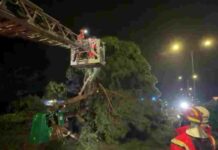 La DANA también afecta a Móstoles