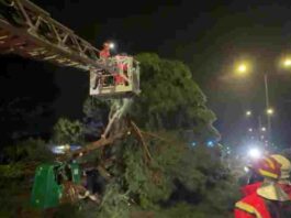 La DANA también afecta a Móstoles