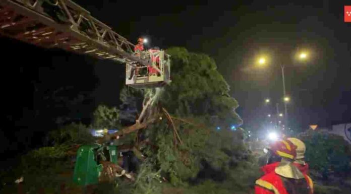 La DANA también afecta a Móstoles