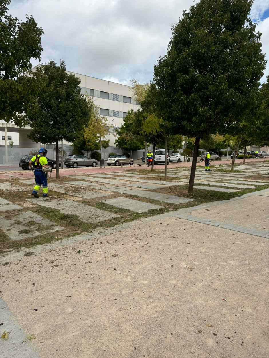 Refuerzo de limpieza para el PAU-4 de Móstoles