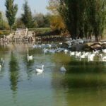 El Ayuntamiento de Móstoles remodelará el Parque Natural de El Soto