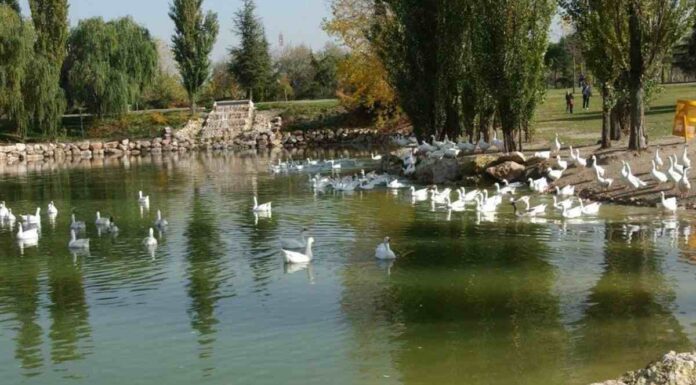 El Ayuntamiento de Móstoles remodelará el Parque Natural de El Soto