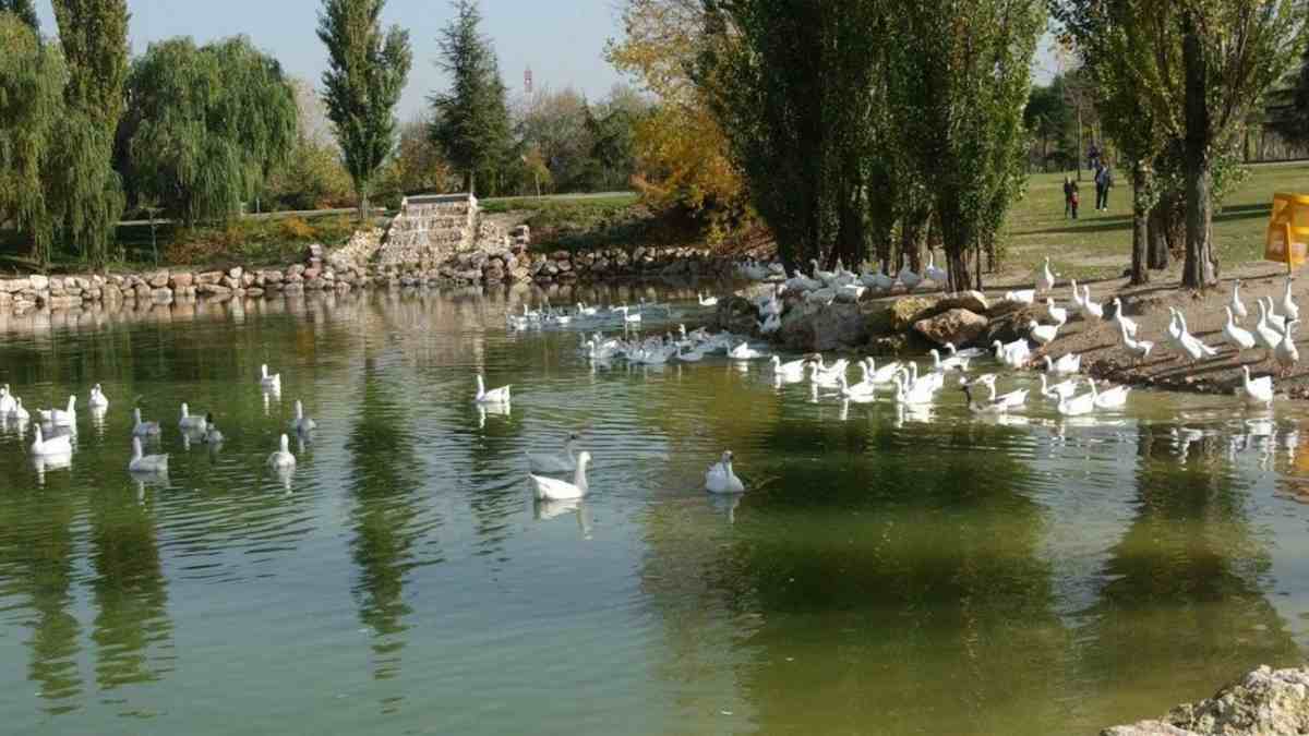 El Ayuntamiento de Móstoles remodelará el Parque Natural de El Soto