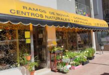 Selecciones Latorre, tu floristería de confianza en Móstoles