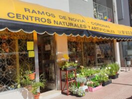 Selecciones Latorre, tu floristería de confianza en Móstoles