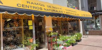 Selecciones Latorre, tu floristería de confianza en Móstoles