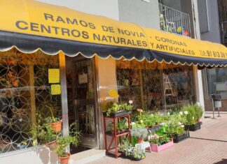 Selecciones Latorre, tu floristería de confianza en Móstoles