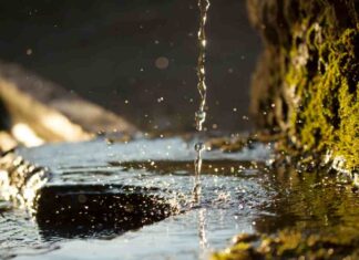 ¿Quién anda ahí? Móstoles: Aguas Subterráneas