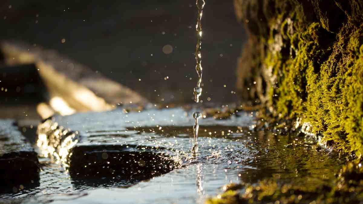 ¿Quién anda ahí? Móstoles: Aguas Subterráneas