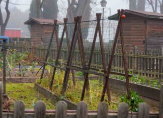 Huertos de ocio para mayores en Móstoles