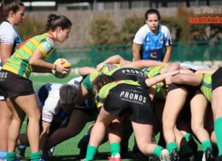 Jabatos rc Móstoles