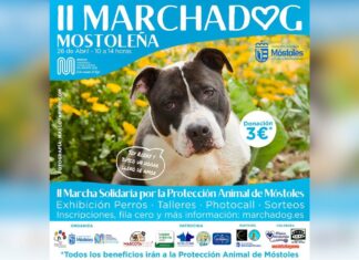 Móstoles se prepara para la II edición de la Marcha Dog