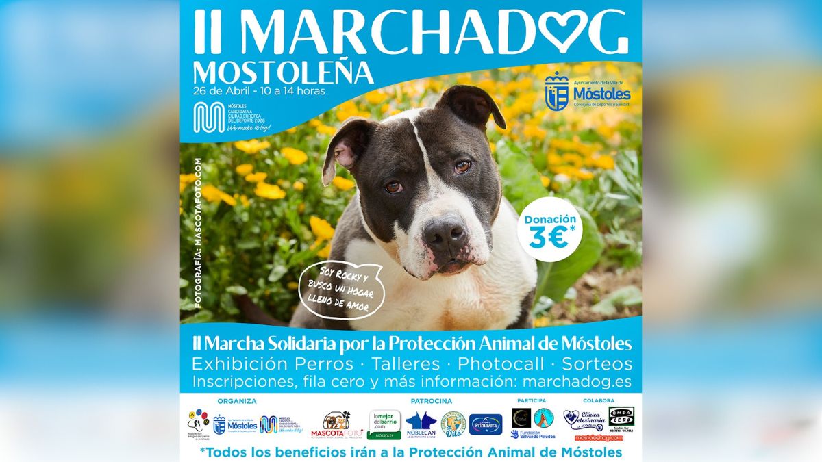 Móstoles se prepara para la II edición de la Marcha Dog