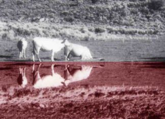 María José Perales presenta su exposición fotográfica “Huellas” en Móstoles