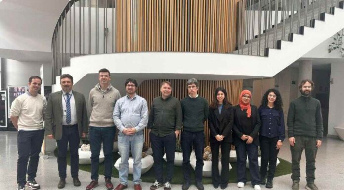 IMDEA Energía de Móstoles coordina el proyecto de investigación de “HVDC4ISLANDS”