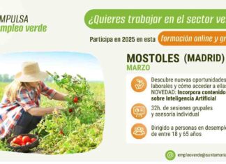 Formación online y gratuita para personas en desempleo en Móstoles